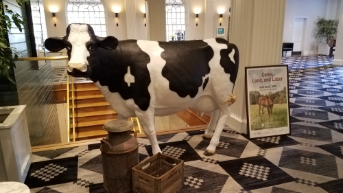 fiberglass cow in hotel
